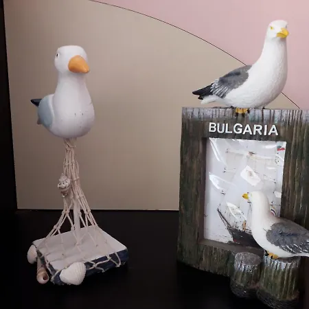 The Lazy Seagull Apartamento